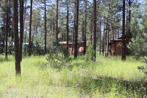 2159 Wildflower Rd, Overgaard, AZ 85933 photo 9