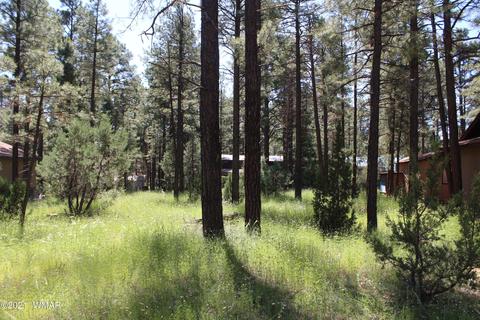 2159 Wildflower Rd, Overgaard, AZ 85933 photo 4