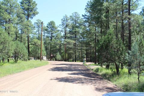 2159 Wildflower Rd, Overgaard, AZ 85933 photo 29