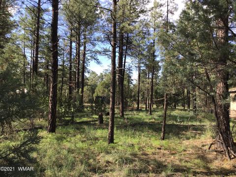 2159 Wildflower Rd, Overgaard, AZ 85933 photo 1