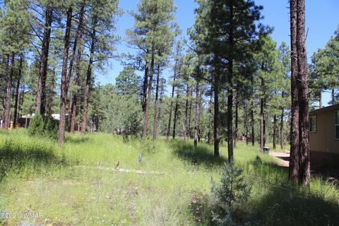 2159 Wildflower Rd, Overgaard, AZ 85933 photo 13