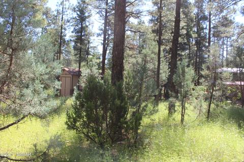 2159 Wildflower Rd, Overgaard, AZ 85933 photo 21
