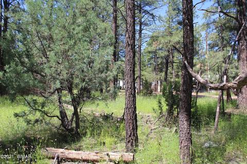 2159 Wildflower Rd, Overgaard, AZ 85933 photo 10