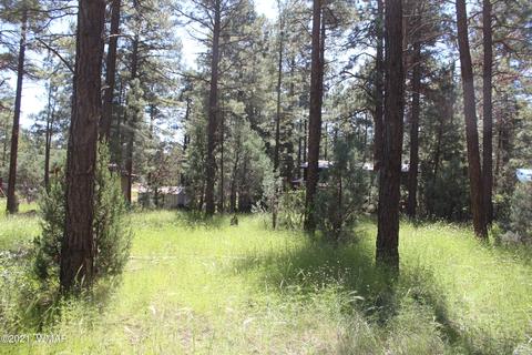 2159 Wildflower Rd, Overgaard, AZ 85933 photo 23