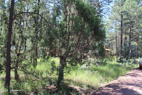 2159 Wildflower Rd, Overgaard, AZ 85933 photo 5