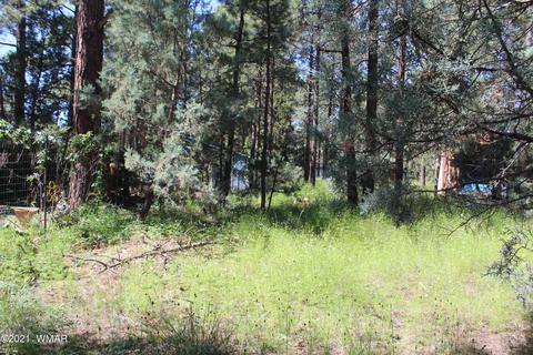 2159 Wildflower Rd, Overgaard, AZ 85933 photo 14