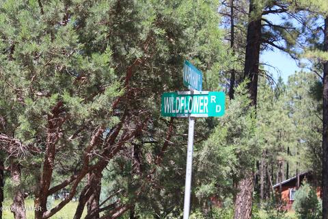 2159 Wildflower Rd, Overgaard, AZ 85933 photo 30