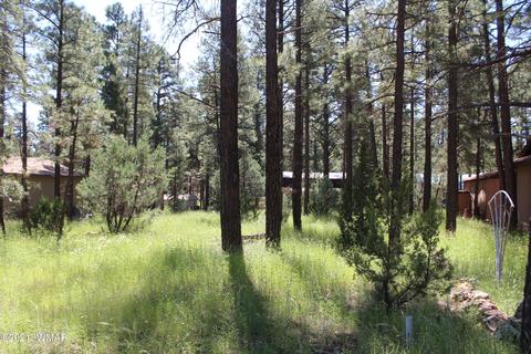 2159 Wildflower Rd, Overgaard, AZ 85933 photo 2