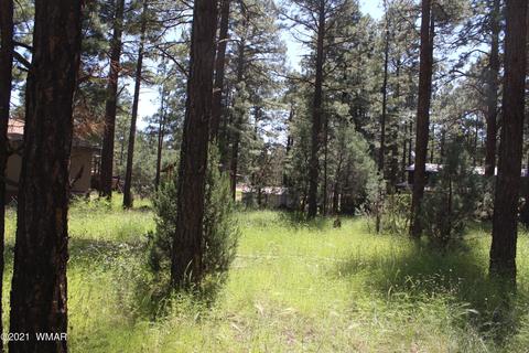 2159 Wildflower Rd, Overgaard, AZ 85933 photo 24
