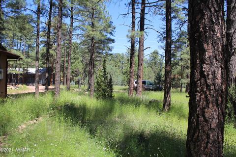 2159 Wildflower Rd, Overgaard, AZ 85933 photo 18