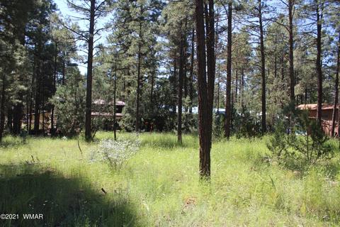 2159 Wildflower Rd, Overgaard, AZ 85933 photo 8
