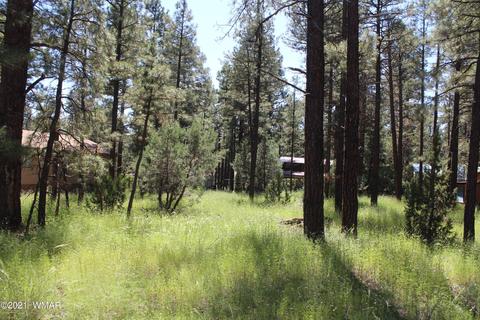 2159 Wildflower Rd, Overgaard, AZ 85933 photo 26