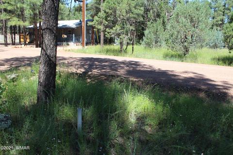 2159 Wildflower Rd, Overgaard, AZ 85933 photo 25