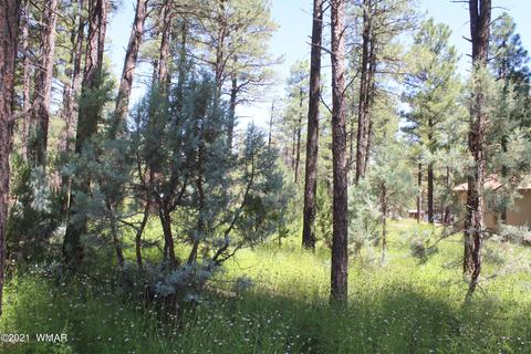 2159 Wildflower Rd, Overgaard, AZ 85933 photo 16