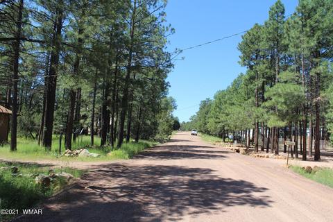 2159 Wildflower Rd, Overgaard, AZ 85933 photo 28