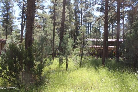 2159 Wildflower Rd, Overgaard, AZ 85933 photo 20