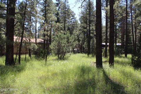 2159 Wildflower Rd, Overgaard, AZ 85933 photo 3