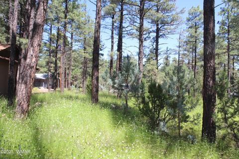 2159 Wildflower Rd, Overgaard, AZ 85933 photo 17