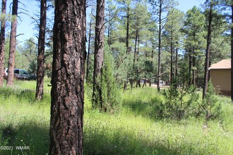 2159 Wildflower Rd, Overgaard, AZ 85933 photo 19