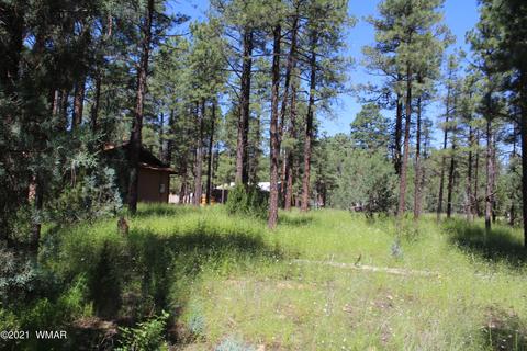 2159 Wildflower Rd, Overgaard, AZ 85933 photo 11