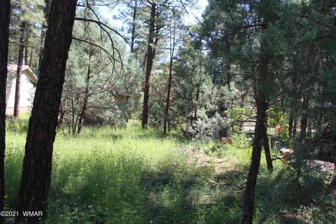 2159 Wildflower Rd, Overgaard, AZ 85933 photo 15