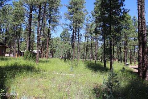 2159 Wildflower Rd, Overgaard, AZ 85933 photo 12