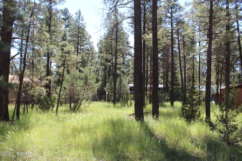 2159 Wildflower Rd, Overgaard, AZ 85933 photo 27