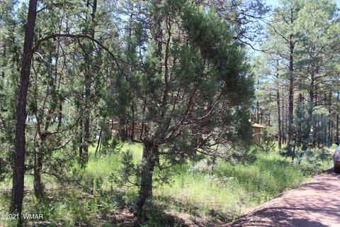 2159 Wildflower Rd, Overgaard, AZ 85933 photo 6