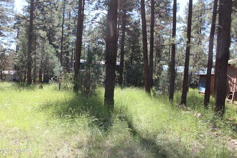 2159 Wildflower Rd, Overgaard, AZ 85933 photo 22