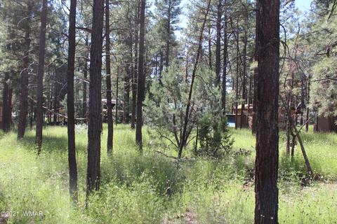 2159 Wildflower Rd, Overgaard, AZ 85933 photo 7
