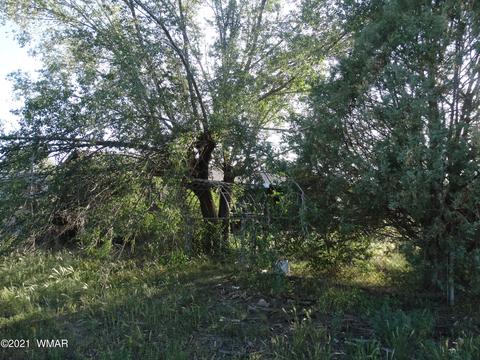 271 E 7th Ave, Eagar, AZ 85925 photo 19