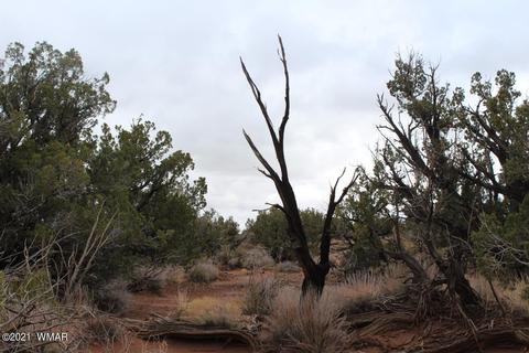 4038 Valley Rd, Snowflake, AZ 85937 photo 9