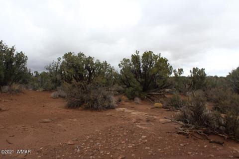 4038 Valley Rd, Snowflake, AZ 85937 photo 2