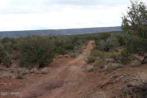 4038 Valley Rd, Snowflake, AZ 85937 photo 3