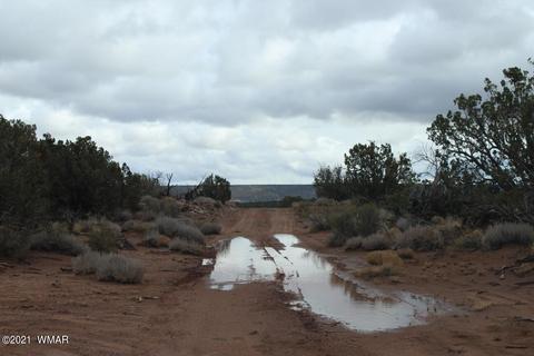 4038 Valley Rd, Snowflake, AZ 85937 photo 6
