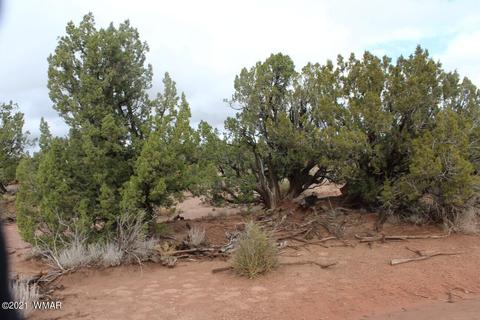 4038 Valley Rd, Snowflake, AZ 85937 photo 4
