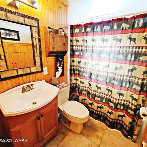 2866 Big Pine Rd, Overgaard, AZ 85933 photo 16