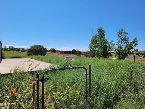360 S Porter Rd, Snowflake, AZ 85937 photo 20