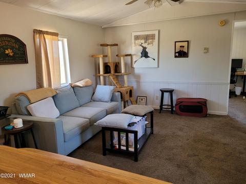 360 S Porter Rd, Snowflake, AZ 85937 photo 7