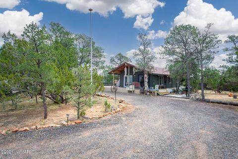 3337 Cedar Dr, Overgaard, AZ 85933 photo 16