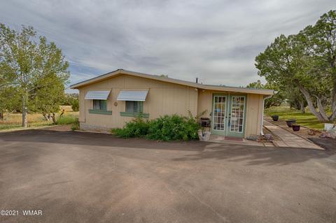 3919 Ramsey Rd, Snowflake, AZ 85937 photo 26