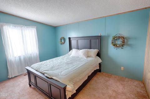 3919 Ramsey Rd, Snowflake, AZ 85937 photo 17