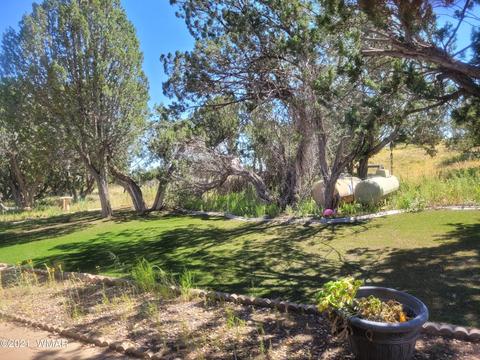 3919 Ramsey Rd, Snowflake, AZ 85937 photo 30