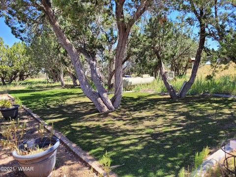 3919 Ramsey Rd, Snowflake, AZ 85937 photo 32