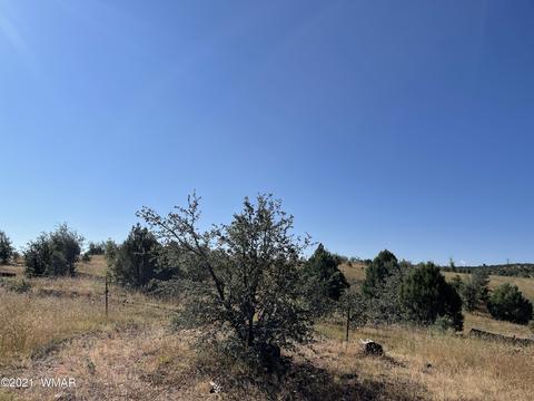 2253 Big Bear Cir, Overgaard, AZ 85928 photo 8