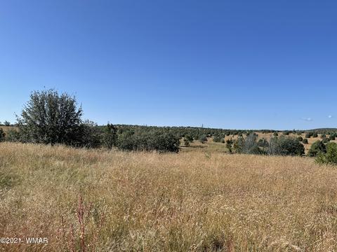 2253 Big Bear Cir, Overgaard, AZ 85928 photo 10