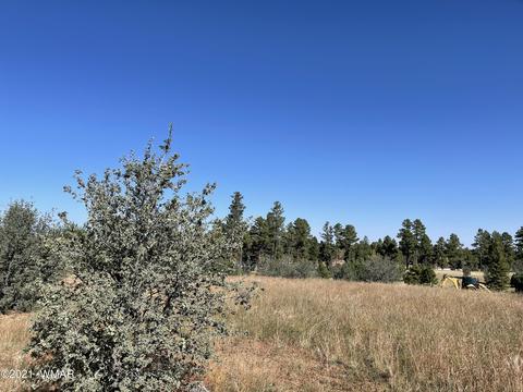 2253 Big Bear Cir, Overgaard, AZ 85928 photo 16