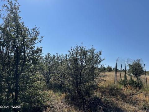 2253 Big Bear Cir, Overgaard, AZ 85928 photo 17