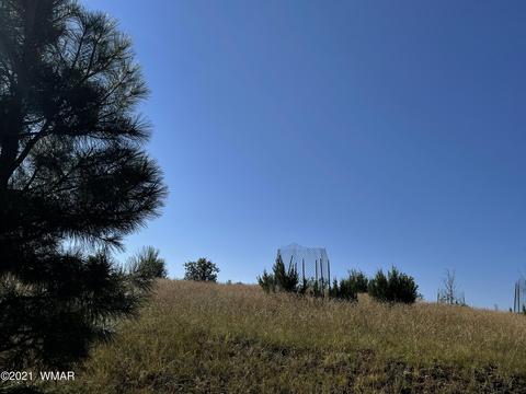 2253 Big Bear Cir, Overgaard, AZ 85928 photo 6