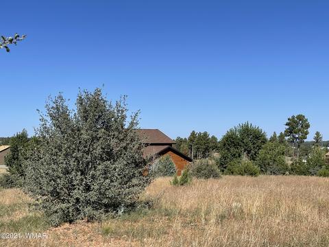 2253 Big Bear Cir, Overgaard, AZ 85928 photo 12